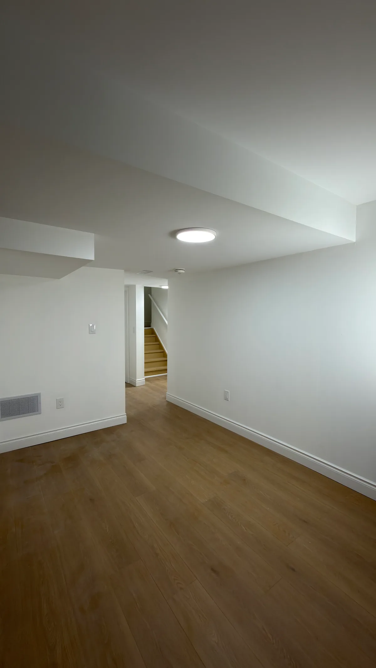 Finished Basement with Kitchen & Bathroom: finished detail 2