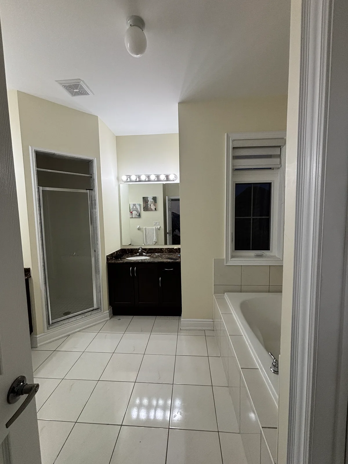 Black & Gold Primary Bathroom Renovation — before